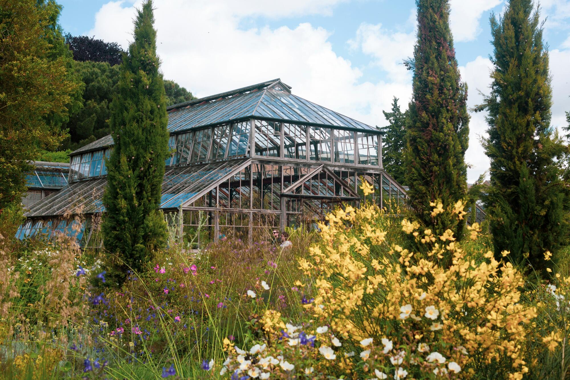 Glasshouse in the Cambridge University Botanic Garden